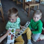 phoca_thumb_m_knihovna 16 Fotogalerie